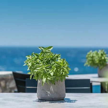 Capo Di Mykonos 酒店 Agios Ioannis Diakoftis
